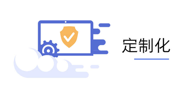 定制化
